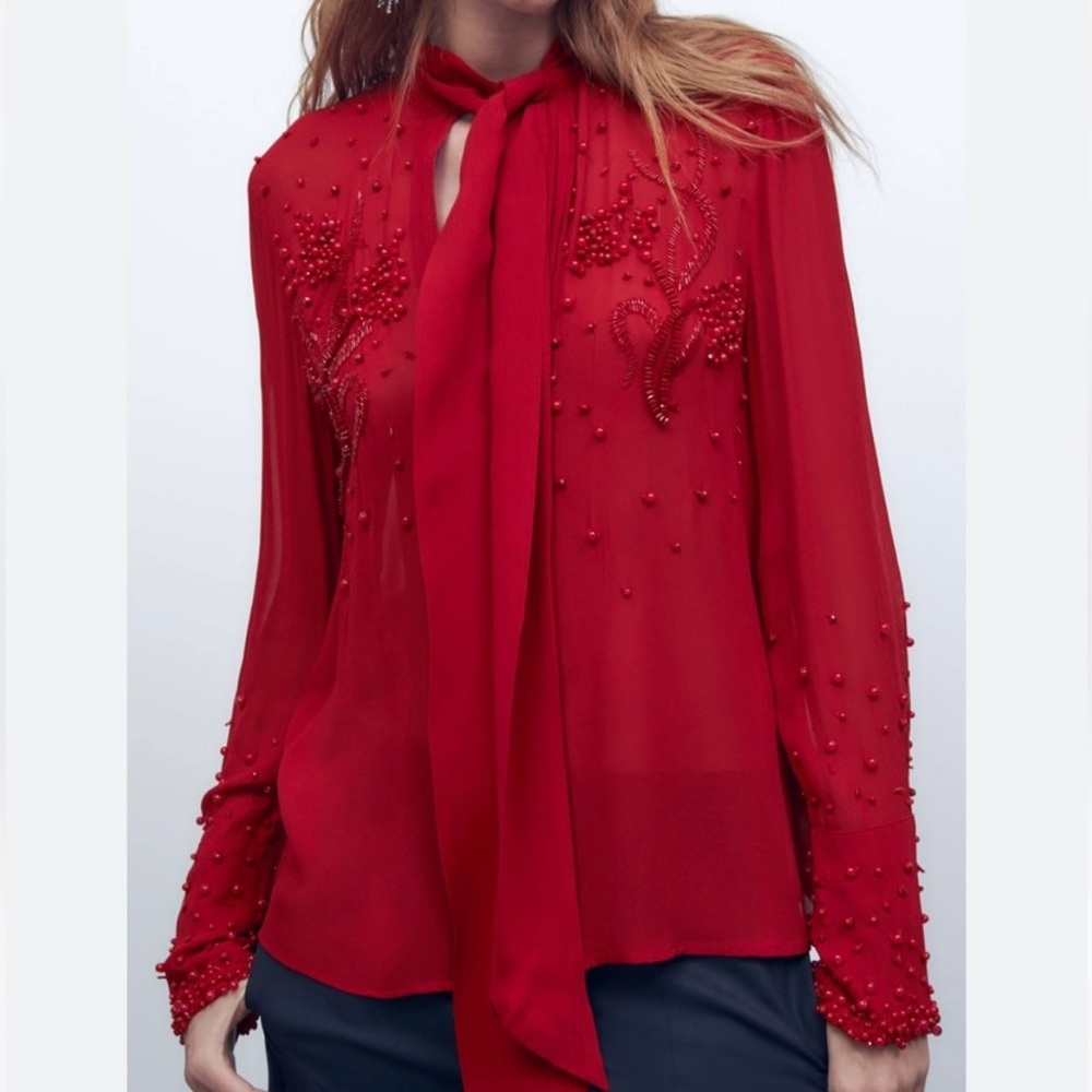 Zara women’s XS  limited edition embroidered blouse
